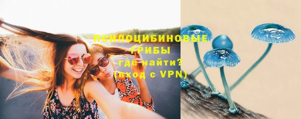 гашик Барнаул