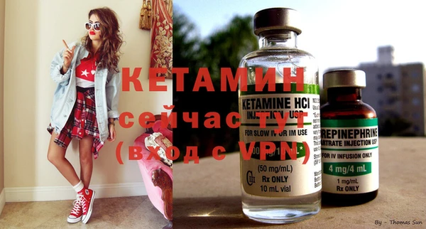шишки Мегион