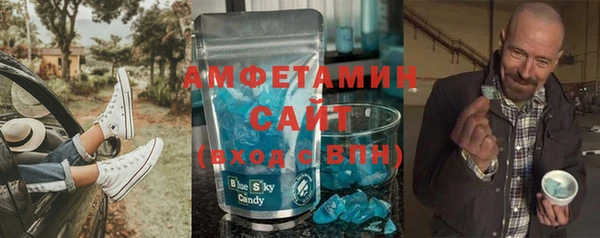 шишки Мегион