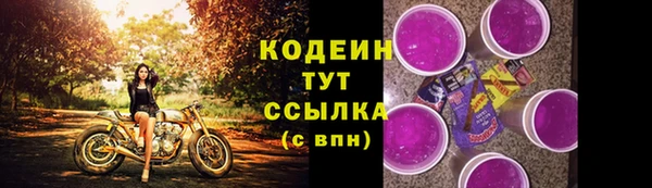 шишки Мегион