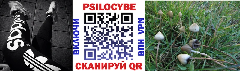 Псилоцибиновые грибы GOLDEN TEACHER  Остров 
